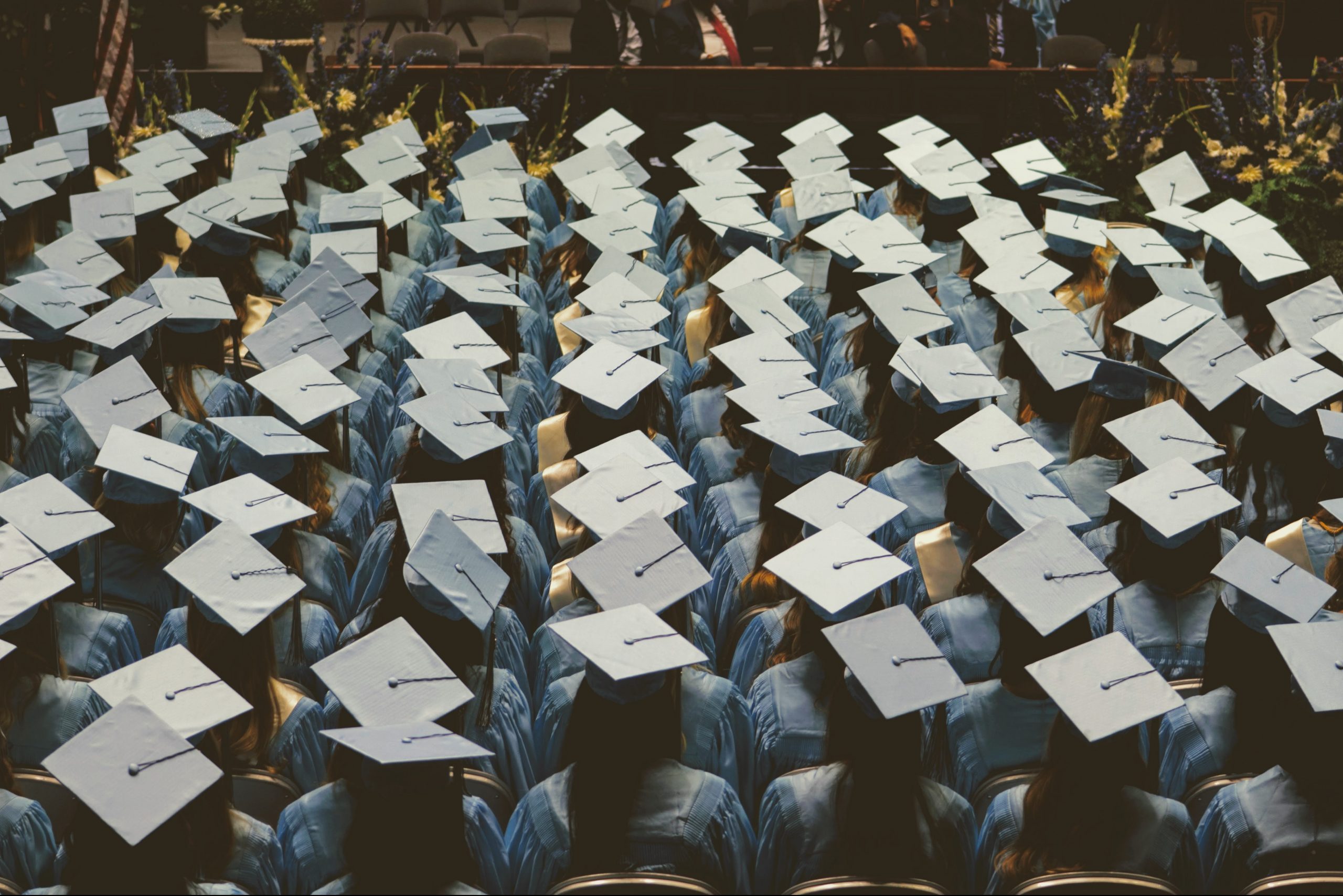You are currently viewing Graduation is Over, Now What?